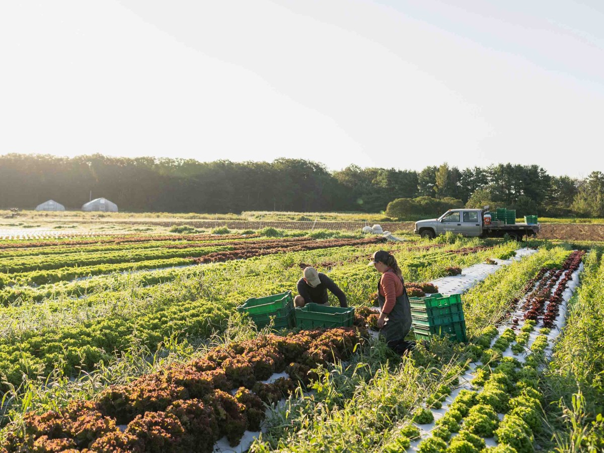 Agriculture programs should have been prioritized in budget